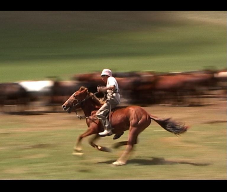 Khangai Herds, film by Natasha Fijn (Eng/Mon) Part 7-10